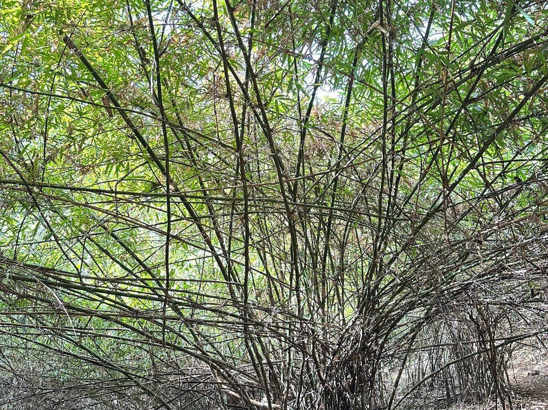 Mondulkiri Project-森莫诺隆必去景点