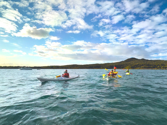 Fergs Kayaks Auckland-奥克兰中心地区必去景点