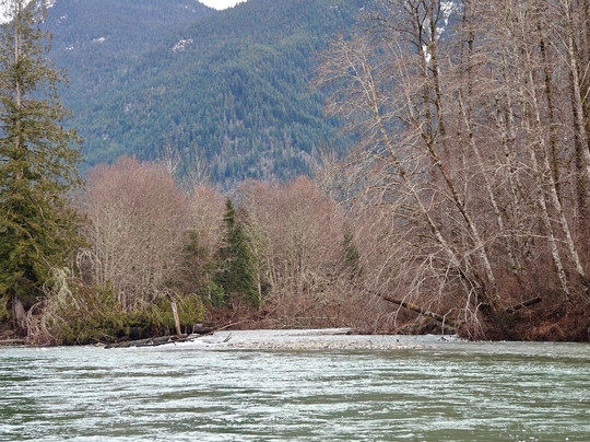 Skagit River Eagle Tours-Rockport必去景点