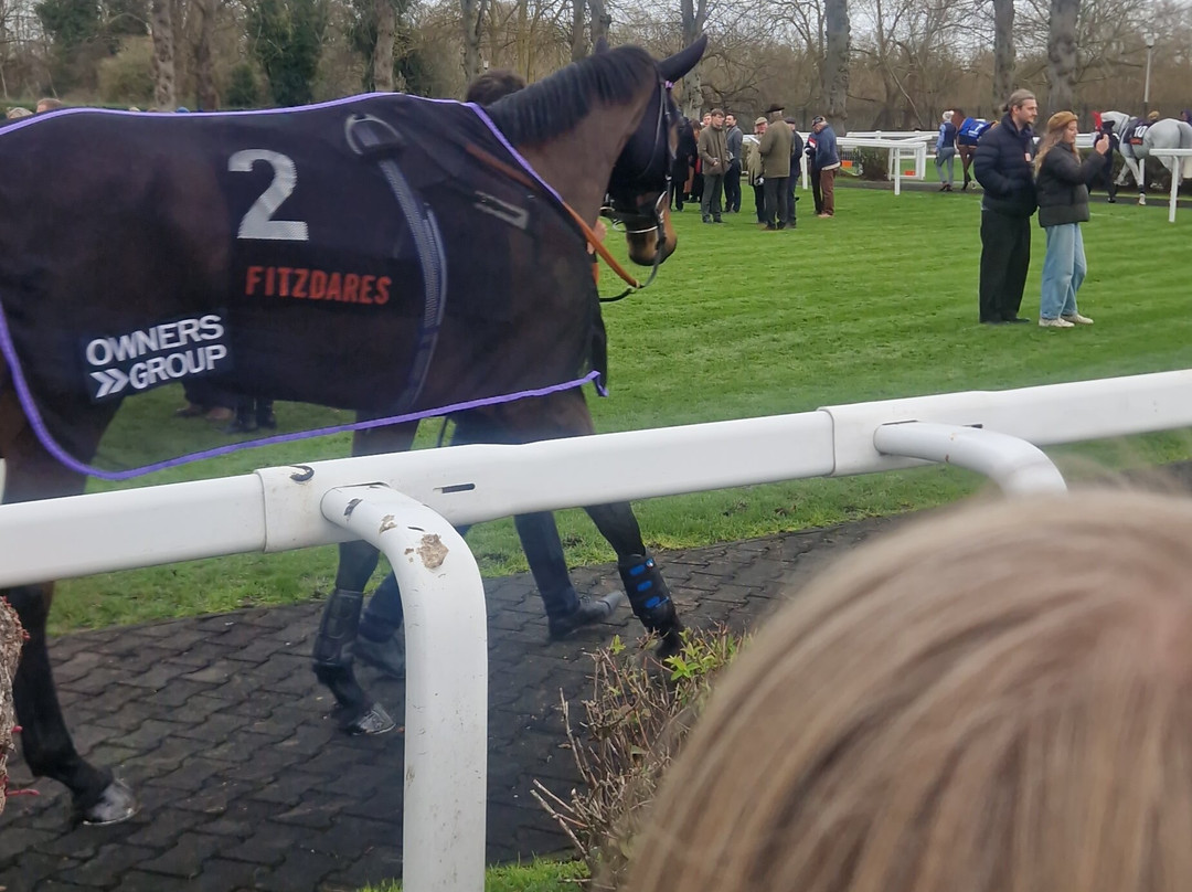 Royal Windsor Racecourse-温莎必去景点