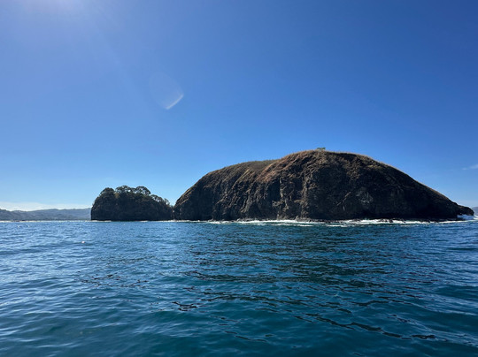 Pacific Coast Discovery-Gulf of Papagayo必去景点