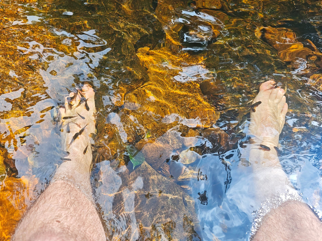 Sinharaja Rainforest Kurulugala Entrance-Viharahena必去景点