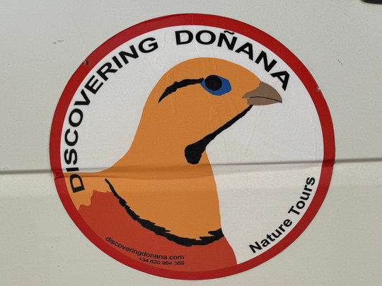 Discovering Donana-El Rocio必去景点