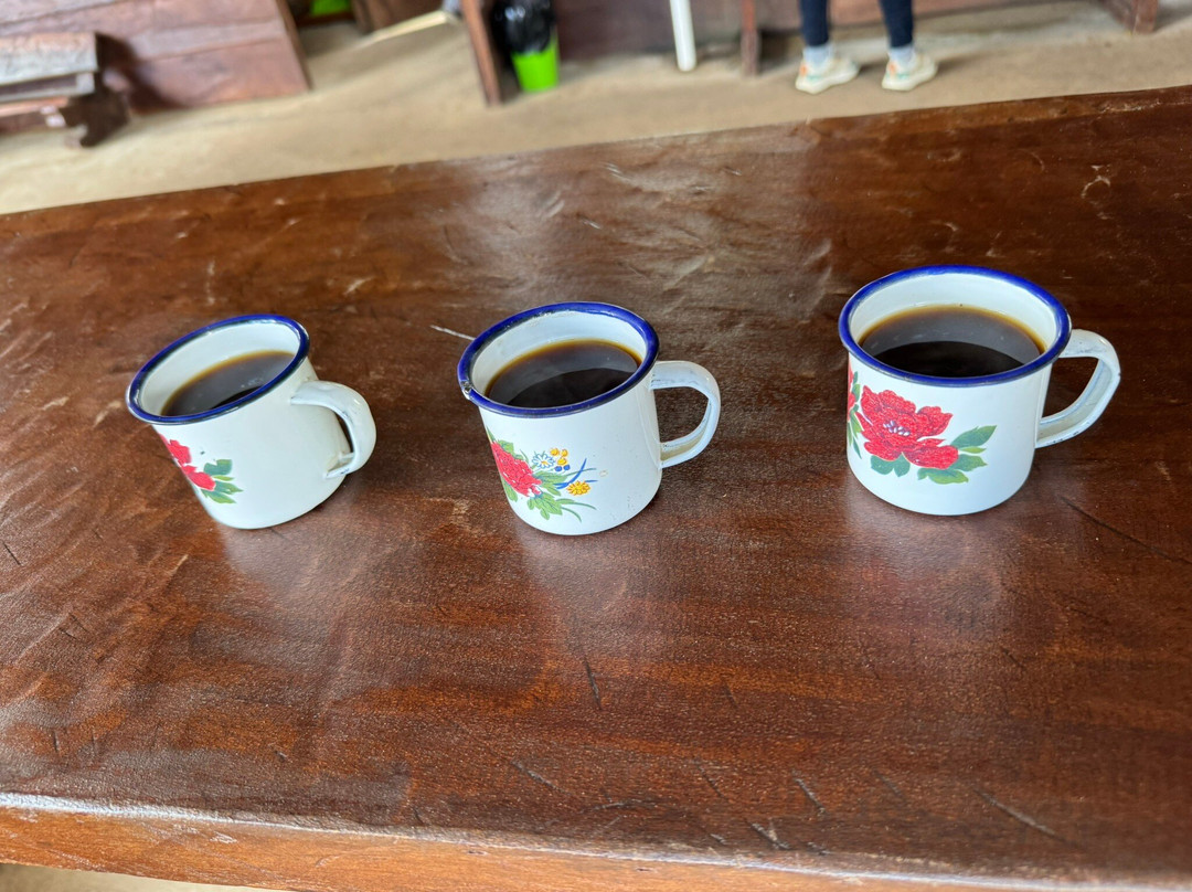 Cafe & Cacao Tour Bijagua-Bijagua de Upala必去景点