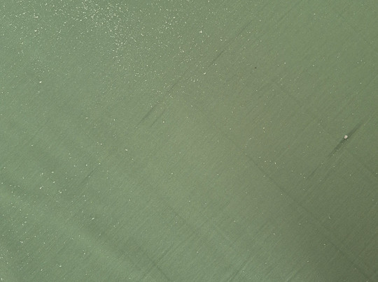 Bungalows Vista Oasis主图