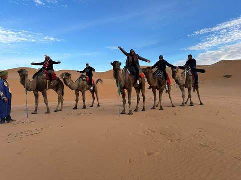 Discover Morocco Tours-马拉喀什必去景点