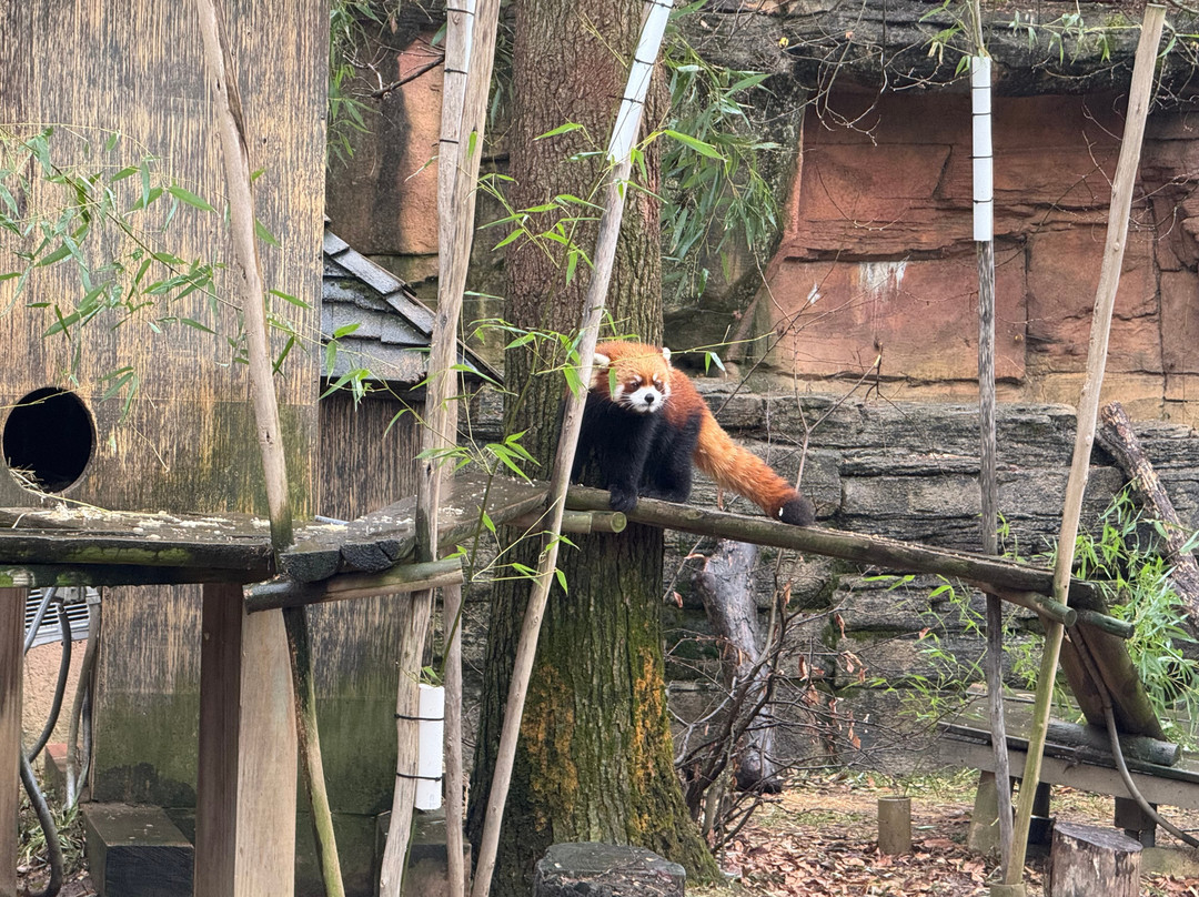 哥伦布动物园-Powell必去景点