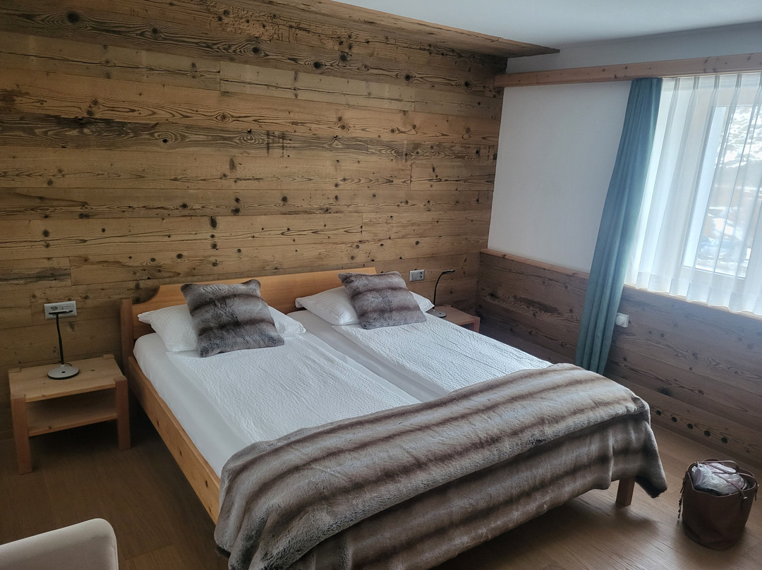 Hotel Grischuna Bivio主图