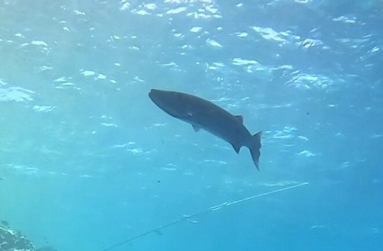 Travely Egypt Tours-马萨阿拉姆必去景点