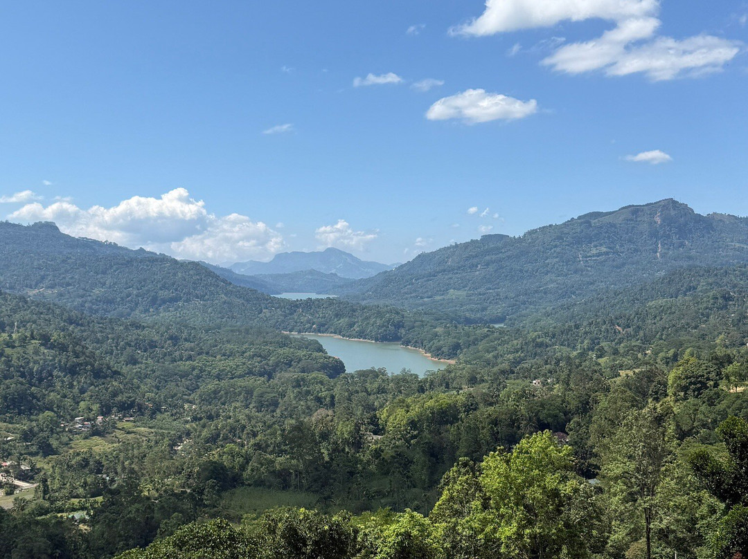 Drivers in Sri Lanka-科伦坡必去景点