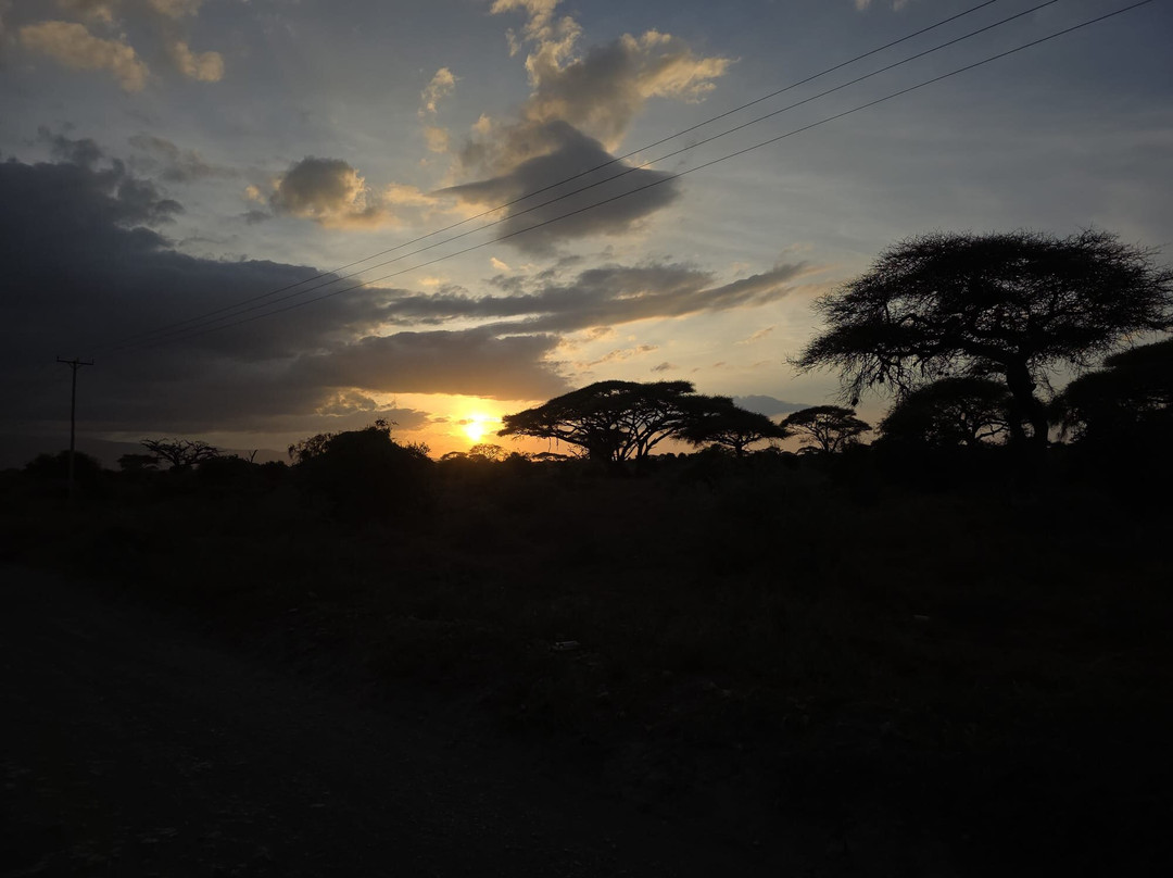 Max Discovery Kenya-瓦塔木必去景点