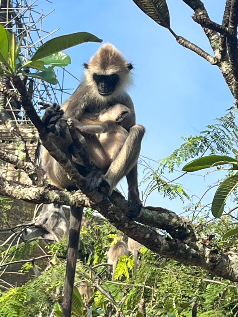 普赖米特中心旅馆-官方