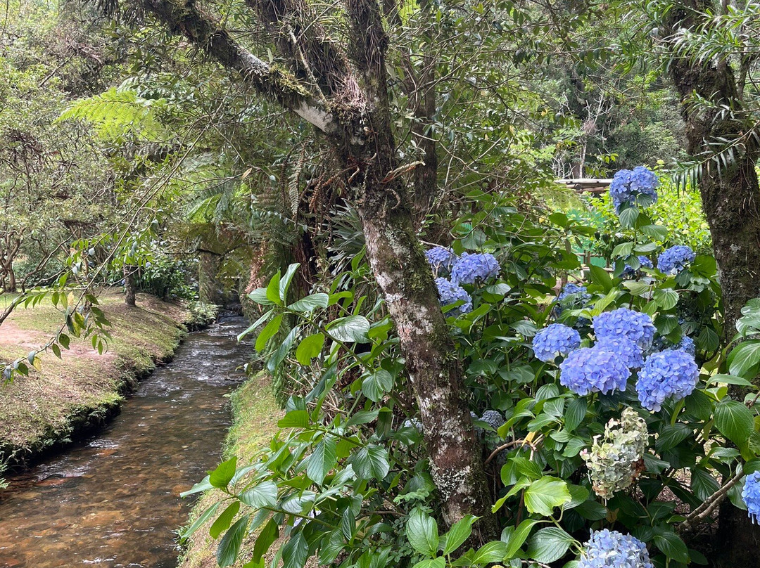 Parque Estadual Campos do Jordao-坎普斯－杜若尔当必去景点