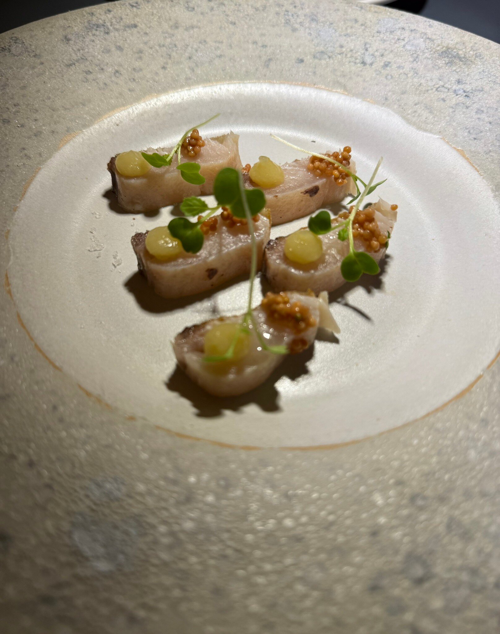 Casa Turquesa-官方