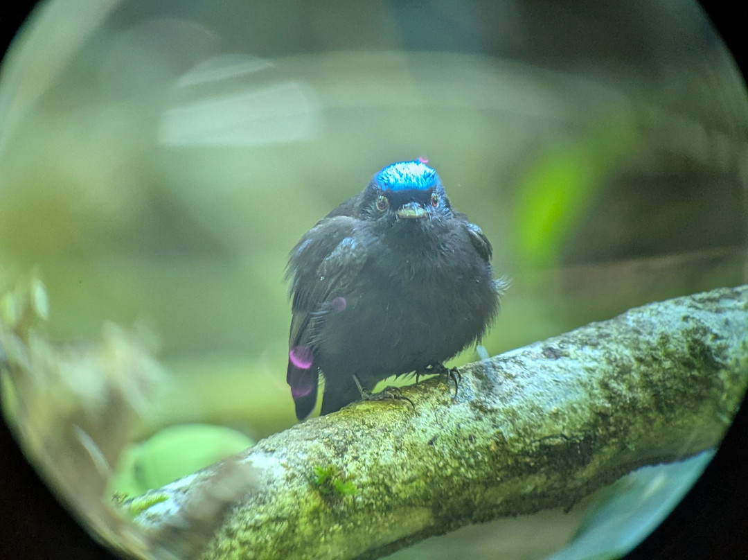 Costa Rica Focus-圣何塞必去景点