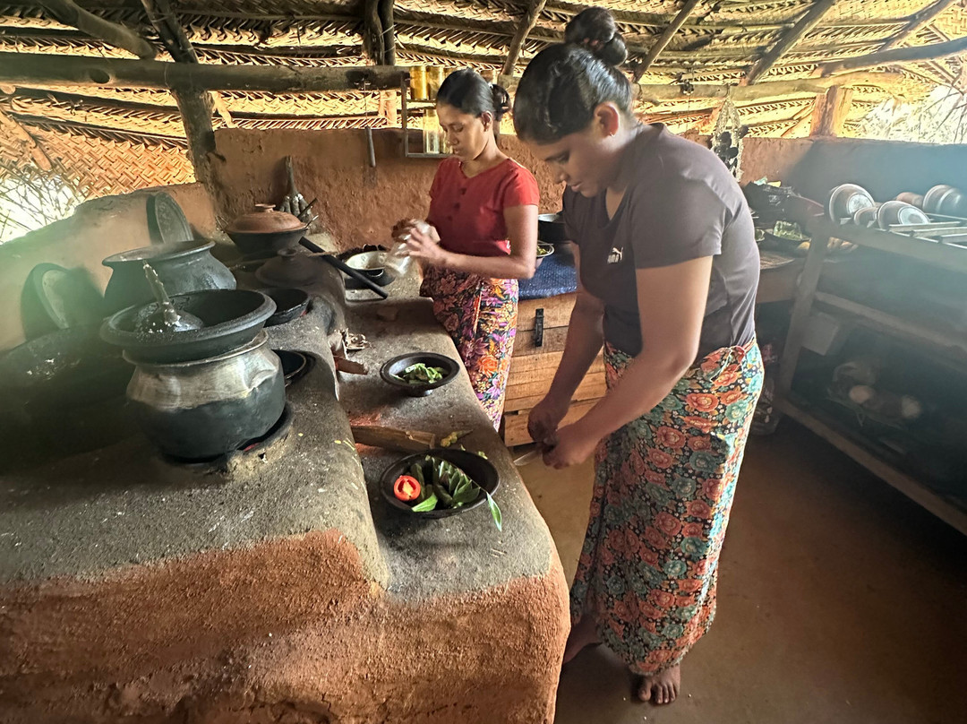 Exotic Island Tours - Private Driver Sri Lanka-Ganemulla必去景点