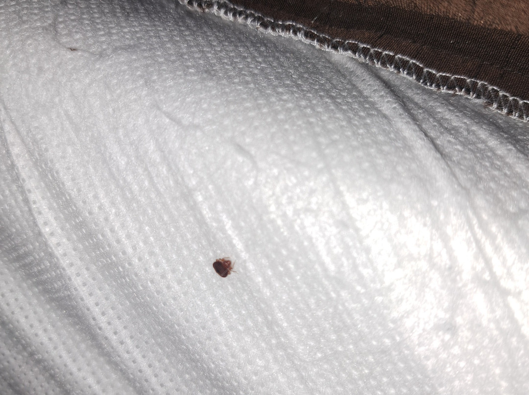 Comfort Inn & Suites West - Medical Center主图