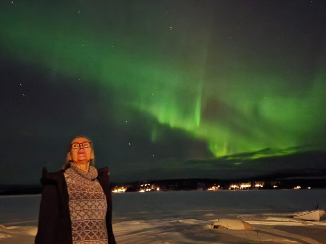 SkySled Tours-Kurravaara必去景点