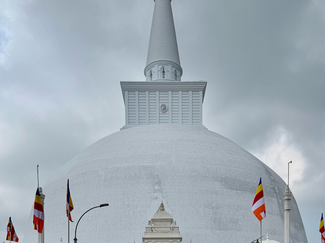 C-Lanka Tours & Travels-科伦坡必去景点