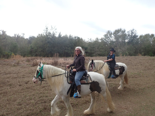 C Ponies Beach Horseback Rides-布雷登顿必去景点