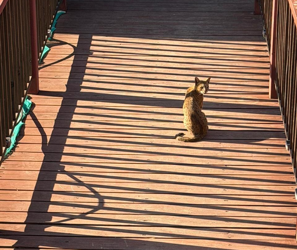 Vanprastha Resorts主图