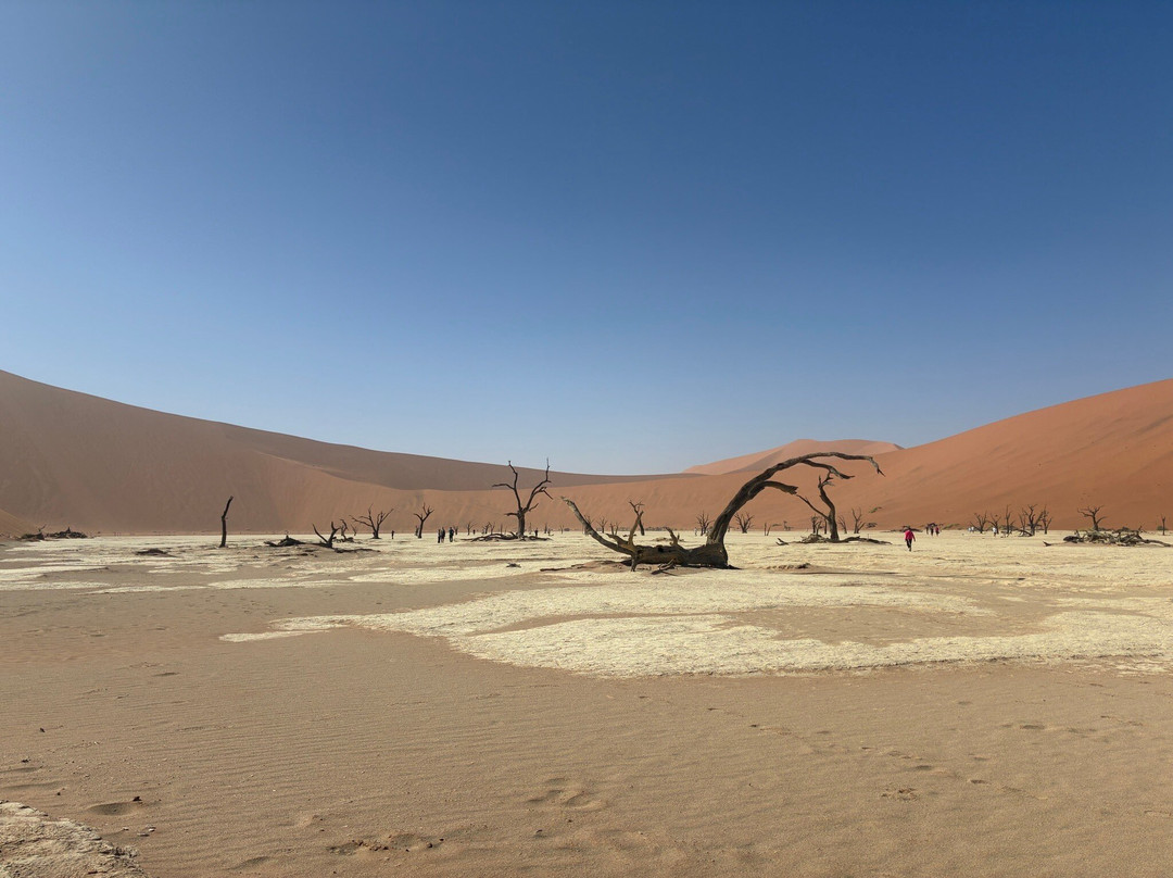 Big Daddy Dune-苏丝斯黎必去景点