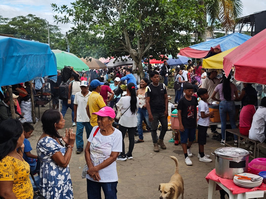 Amazon Tour-莱蒂西亚必去景点