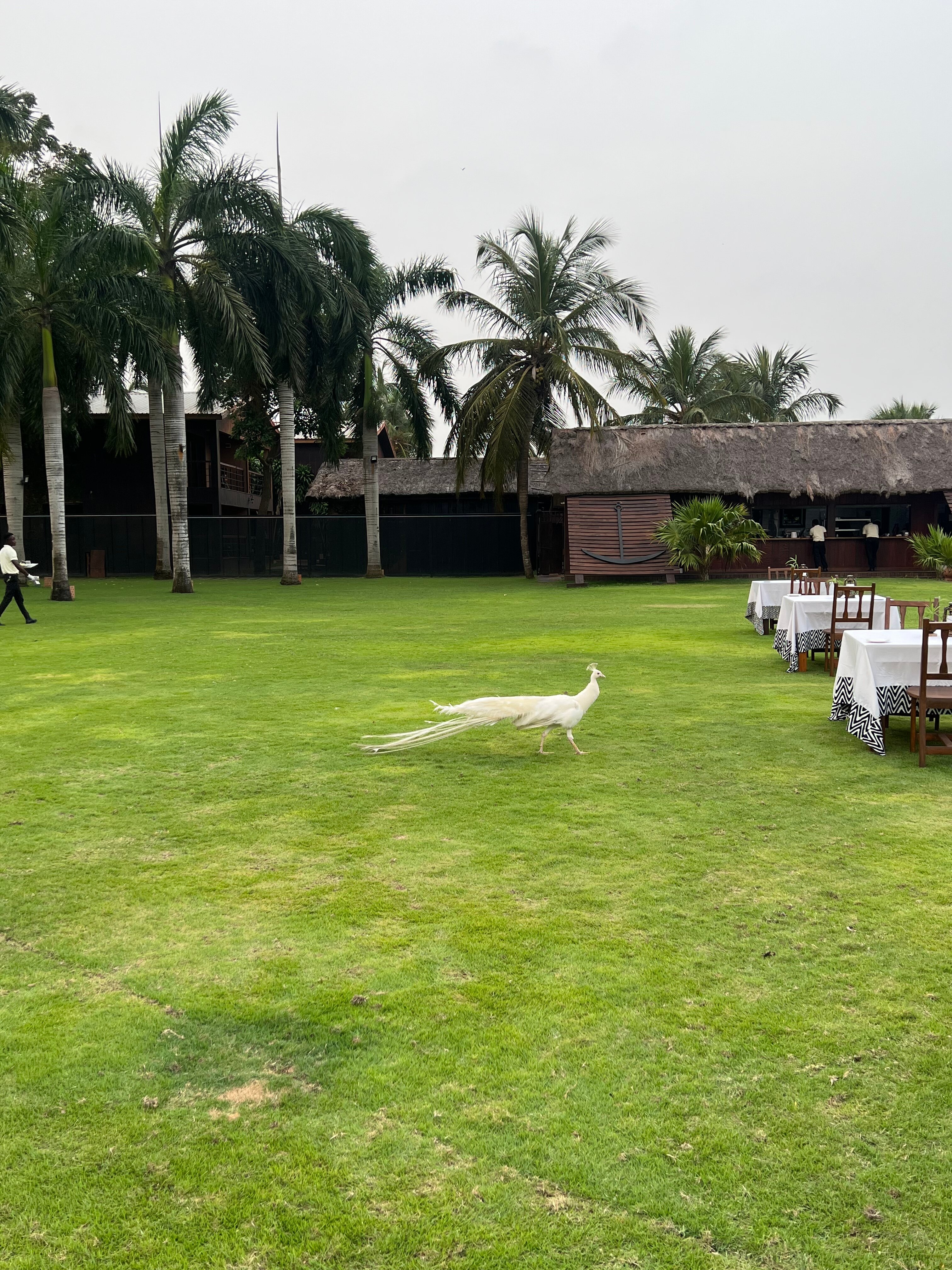 Aqua Safari Resort-官方