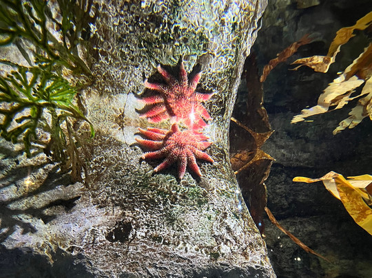 The Deep-赫尔河畔金斯顿必去景点