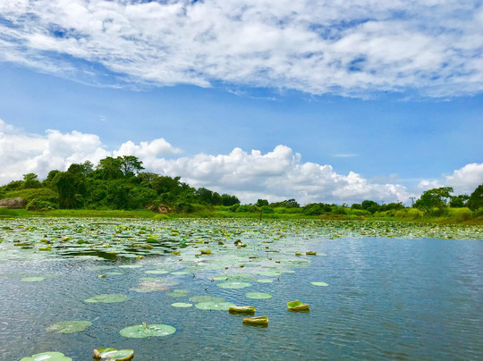 Private Tour Guide in Sri Lanka-科伦坡必去景点