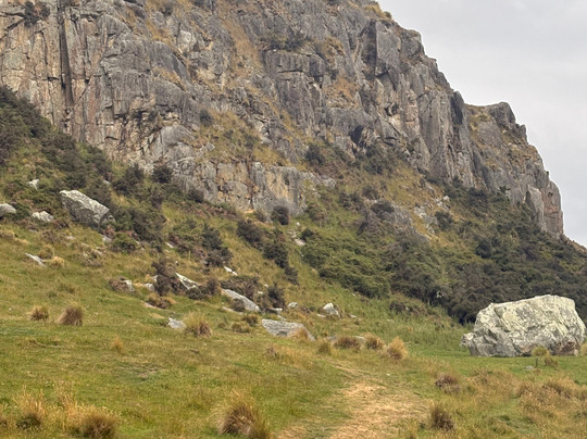 Red Carpet Tours-奥克兰中心地区必去景点