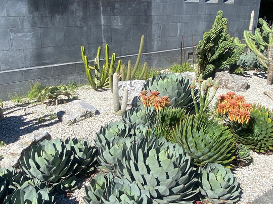 Christ Church Cathedral-尼尔森必去景点