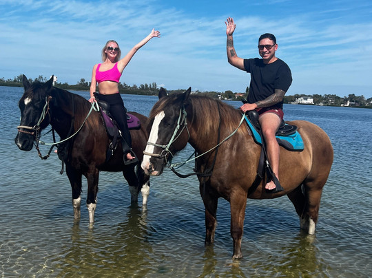 Florida Beach Horses-布雷登顿必去景点