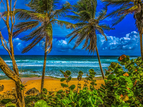 The Agard Experience-布里奇顿必去景点