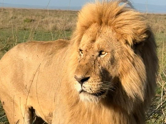 Tansania Reiseabenteuer SDL GmbH-柏林必去景点