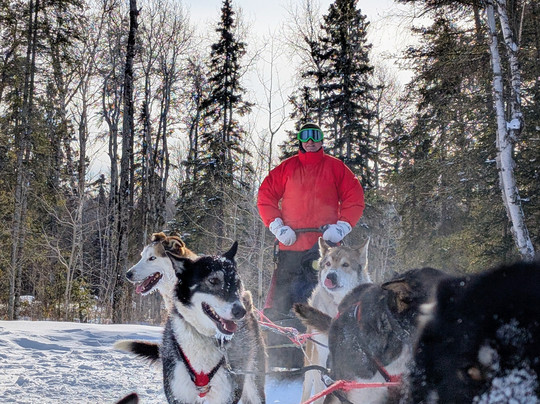 Chilly Dogs Sled Dog Trips-伊利必去景点