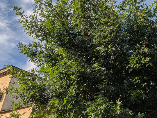 Hotel San Pedro & Resto主图