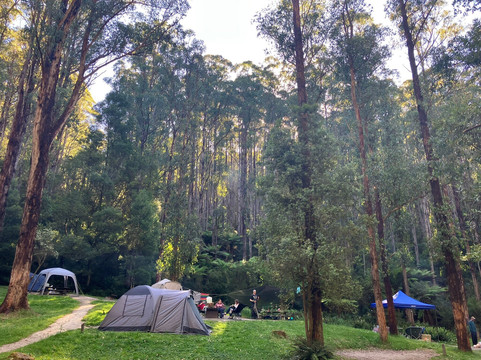 Forrest Mountain Bike Trails-Forrest必去景点