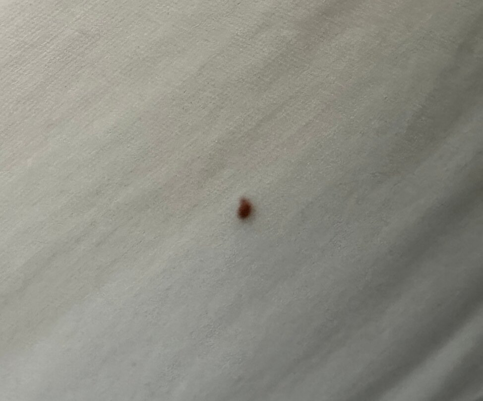 阿克伦凯霍加瀑布喜来登套房酒店主图