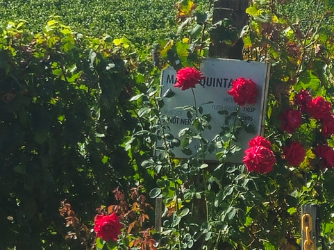 Vinicola Luiz Argenta-Flores Da Cunha必去景点