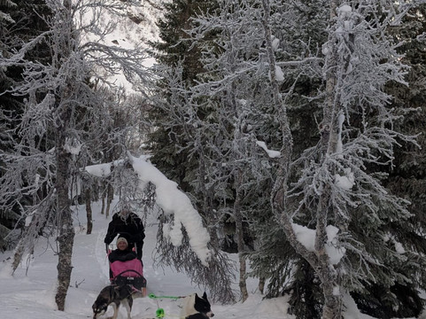 Happy Tails Husky Tours-特罗姆瑟必去景点