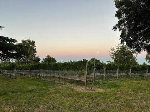 Comarca Las Liebres主图