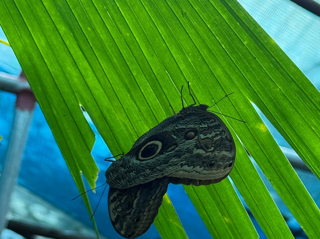 Maratopia-利蒙港必去景点