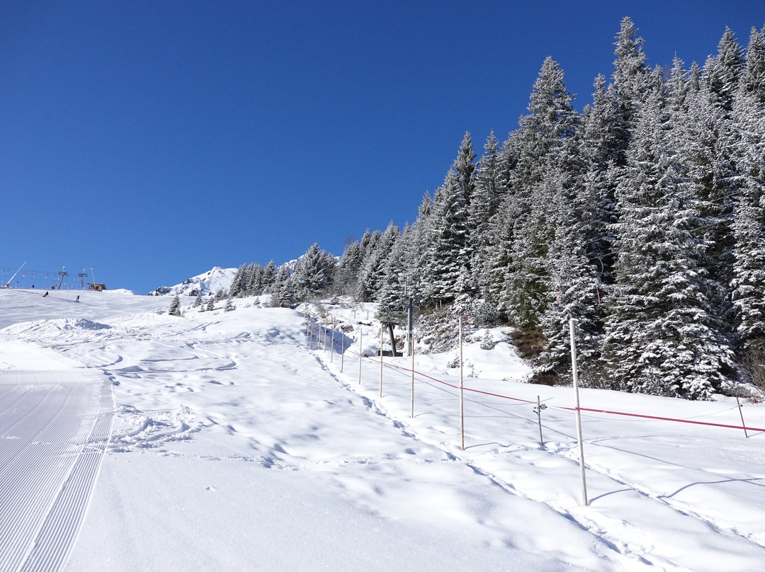 斯尔本霍弗酒店主图