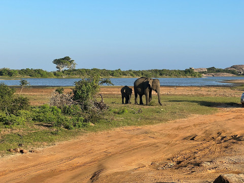 Luxurious Lanka-Ekala必去景点