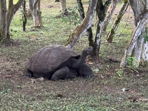 Surtrek-基多必去景点