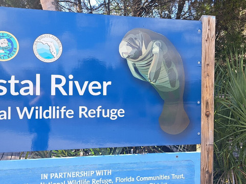 Crystal River National Wildlife Refuge-克里斯特尔里弗必去景点