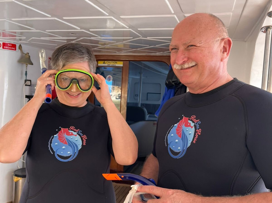 Red Sea Horse Diving-Hurghada 1必去景点