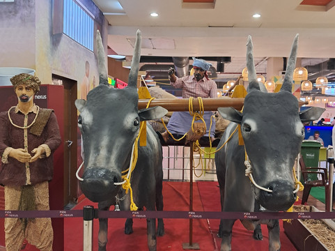 Fiza by Nexus-芒加罗必去景点