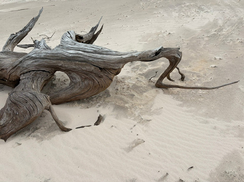 Trek In Duna-Santo Amaro do Maranhao必去景点